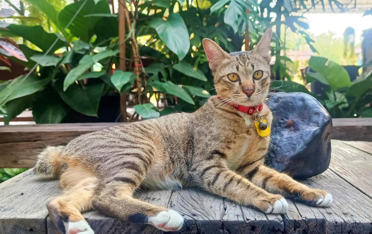 Baan Canalee Phra Nakhon Si Ayutthaya Buitenkant foto
